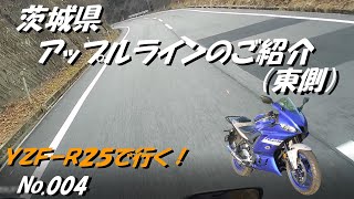 004_茨城県アップルライン（東）「YZF-R25にてツーリング」（２月中旬撮影）