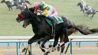 【3歳以上次走報】エコロデュエルは阪神SJから中山GJへ｜競馬ニュース｜競馬予想のウマニティ