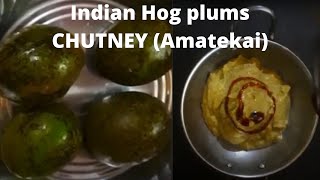 ಅಮಟೆಕಾಯಿ  ಚಟ್ನಿ| Indian Hog plums CHUTNEY (Amatekai)