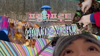 번외. 독일 명이나물 채취 브이로그 (feat.프랑크푸르트 명이나물 원정대)