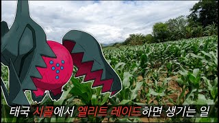 [포고] 태국 메홍손주 빠이(시골)에서 엘리트 레이드 하면 생기는 일ㅣ구글지도에서도 안 알려주는 꿀팁