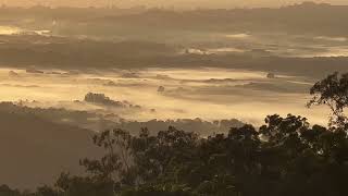 A misty morning in Montville, Queensland Australia