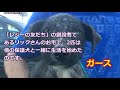 【衝撃】ゴミ袋に入れられた２匹の子犬は、空腹のあまり石やゴミを食べていた…【世界が感動！涙と感動エピソード】