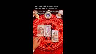 20241117 타로 실시간 운세  Live Tarot Reading 塔罗占卜