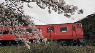 JR西日本　快速ことぶき　キハ47系気動車　2016年4月4日【津山線】