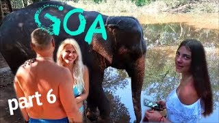 ИНДИЯ , ГОА , ВОДОПАД ДУДХСАГАР : КУПАНИЕ СО СЛОНАМИ ! INDIA , GOA , SWIMMING WITH ELEPHANT