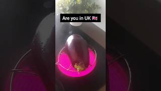 Are you in UK 🇬🇧 | Roasting eggplant🍆 in Electric Gas Stove | #brinjal #ytshorts #food