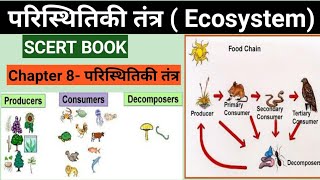 Ecosystem in hindi | Chapter 8- पारिस्थितिकी तंत्र | SCERT BOOK | For all 1 day exams