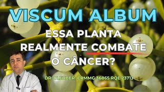 ⚪ VISCUM ALBUM  pode Realmente Combater o CÂNCER?  #drcleuber