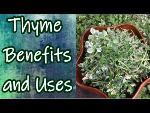 Benefits Of Thyme Youtube
