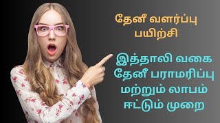 Apis Mellifora- இத்தாலி தேனீ |தேனீ வளர்ப்பு பயிற்சி|bee keeping