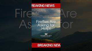The Fireflies need your help! Hear more in this breaking news segment! #LightsOffFirefliesOn