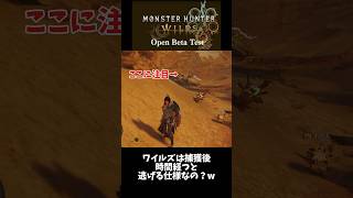 【MHWILDS】死んだモンスターが蘇る！？#mh #モンハン #モンスターハンター #モンスターハンターワイルズ