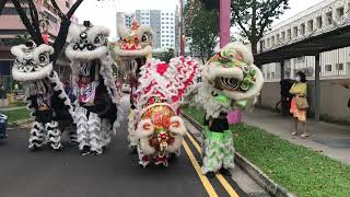 新加坡威義體育會 Singapore Wee Ghee Lions Arrival \u0026 Dragon Dance Performance on the 28/5/23