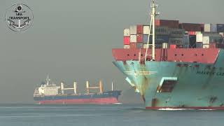 AMAZING 10 SHIPS IN MOTION, SANTOS PORT SHIPSPOTTING #218