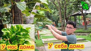 ПОСМОТРИТЕ, КАК ОНИ ВЫГЛЯДЯТ У СЕБЯ ДОМА!