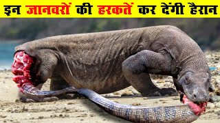 😱 जानवर जो खुद को खाते हैं | Crazy Animals That Eat Themselves Explained in Hindi