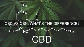 CBD vs CBN: What's The Difference?