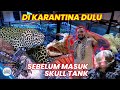 KARANTINA HASIL HUNTING IKAN BARENG AUDREY @IndoExoticPets - KITA INTIP CARANYA!