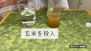 とっても簡単！玄米乳酸菌の作り方