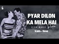 Pyar Dilon Ka Mela Hai | Remix | Rion Music | Alka Yagnik, Sonu Nigam | Imran Khan | Salman Khan