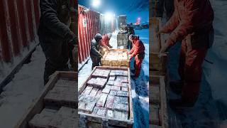 More Disturbing Items Found Inside Sealed Crates