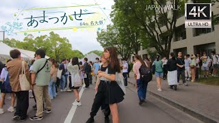 名大祭2023 名古屋大学を散歩 Walking through the university festival of Nagoya University in Japan