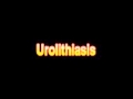 What Is The Definition Of Urolithiasis Medical School Terminology Dictionary