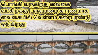 பொங்கி வருகிறது வைகை  வடகிழக்கு  பருவமழை காரணமாக வைகையில் வெள்ளம் கரைபுரண்டு ஓடுகிறது #vaigaiwater