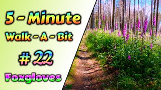 5-Minute-Walk-A-Bit - #22 - Foxgloves - Best Consumed Virtually