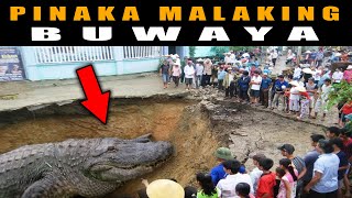 PINAKAMALAKING BUWAYA SA KASAYSAYAN |  PINAKA HIGANTENG BUWAYA   | 7 Largest Crocodile In The World