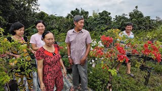 Cô Dượng Năm Bất Ngờ Cho Rất Nhiều Cây Giống và Rau Thơm Về Vườn Trồng, CÁ ĐIÊU HỒNG Hấp Rất Ngon