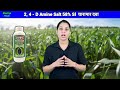 2 4 d खरपतवार नाशक दवा 2 4 d tan nashak gehu me kharpatwar nashak dawa wheat herbicide