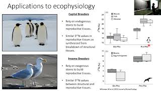 SoMAS - From Molecules to Ecosystems - Intrinsic Chemical Tracers Reveal the Hidden Lives of Animals