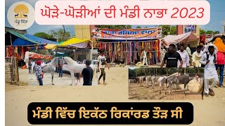 ਘੋੜੇ-ਘੋੜੀਆਂ ਦੀ ਮੰਡੀ ਨਾਭਾ || NABHA MNADI || @Pendukitta