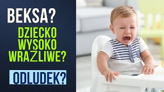 BEKSA, ODLUDEK CZY DZIECKO WYSOKO WRAŻLIWE?