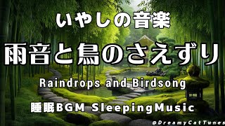 【Raindrops and Birdsong】雨音と鳥のさえずり 癒しの曲 Healing Relaxing music  睡眠用BGM