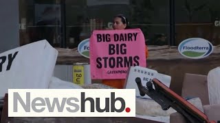 'Climate crime scene': Farmers hit back as Greenpeace carries out 'Floodterra' protest | Newshub
