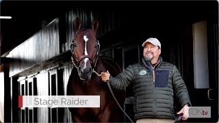 Meet Justify's Half-Brother Stage Raider at Crestwood Farm