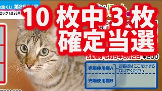 ★わんにゃんスクラッチ ベンガル ラッキー3★1等賞金300万円★148削り目 #スクラッチ #宝くじ #lottery