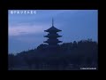 備中国分寺　ブルーライトアップ（2017年11月17日）