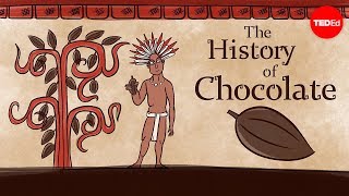 L'histoire du chocolat - Deanna Pucciarelli