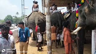 ഇരിങ്ങാലക്കുട ശ്രീ കൂടൽമാണിക്യ ക്ഷേത്രത്തിൽ പോയപ്പോൾ ശീവേലി കണ്ടതിൽ --- വീഡിയോ കാണുക