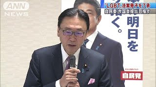 自民が“LGBT法案”の骨子了承「まずは理解増進を」(19/03/28)