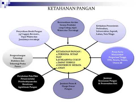 13 KETAHANAN PANGAN DAN KEBIJAKAN PANGAN - YouTube