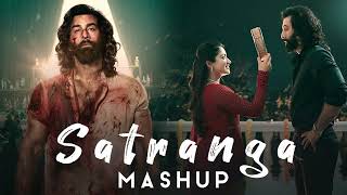 Satranga Mashup 2024 | Bollywood Love Mashup | Animal Song Mashup | Satranga Lofi | Romantic Mashup
