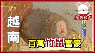 【越南】百萬竹鼠富豪(白子竹鼠)｜《世界第一等》年節精選版