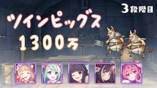 【プリコネR】3段階目ツインピッグス 魔法 1300万【5月クランバトル】