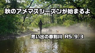 去年の春別川 遡上アメマス釣り