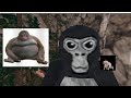 23 minutes and 44 seconds of monke hell **SCREAM WARNING**